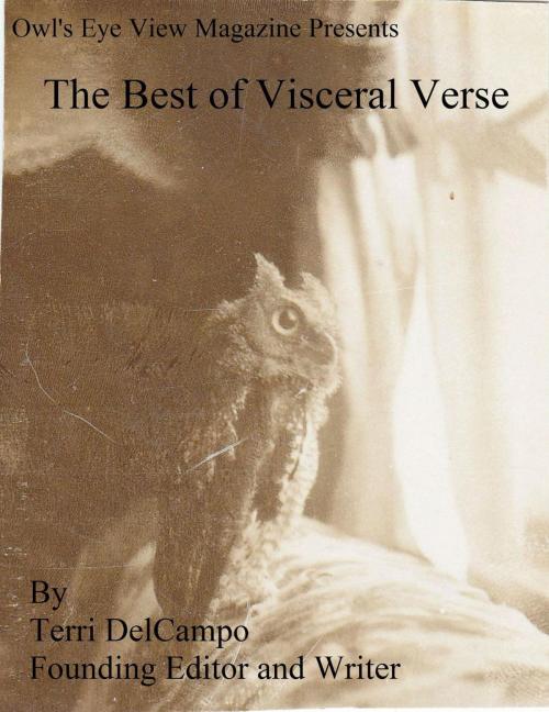 Cover of the book Owl's Eye View Magazine Presents The Best of Visceral Verse by Terri DelCampo, Lisa Galloway, Blazing Owl Press