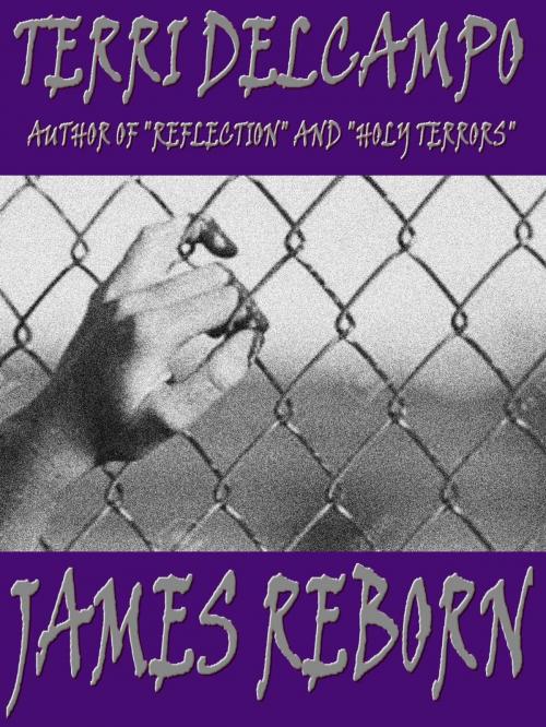 Cover of the book James Reborn by Terri DelCampo, Blazing Owl Press