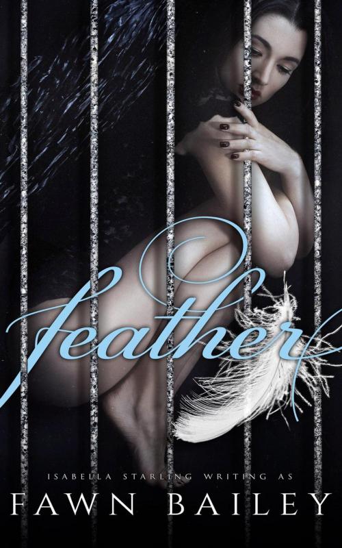 Cover of the book Feather by Fawn Bailey, Fawn Bailey