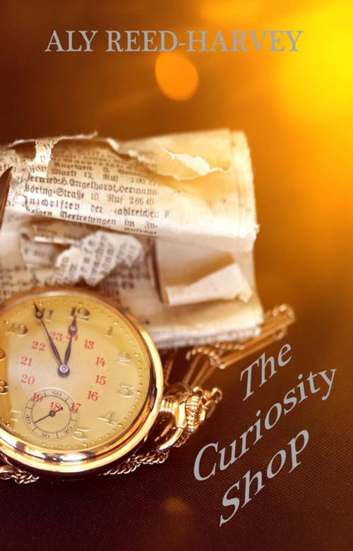 Cover of the book The Curiosity Shop by Aly Reed-Harvey, Lulu.com