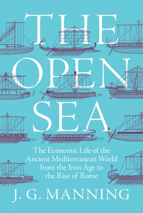 Cover of the book The Open Sea by J. G. Manning, Princeton University Press