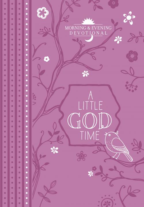 Cover of the book A Little God Time by BroadStreet Publishing Group LLC, BroadStreet Publishing Group, LLC