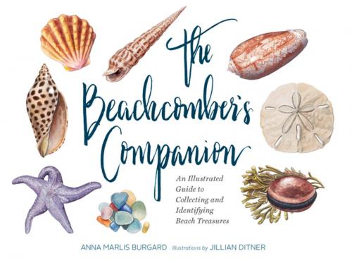 Cover of the book The Beachcomber's Companion by Anna Marlis Burgard, Chronicle Books LLC