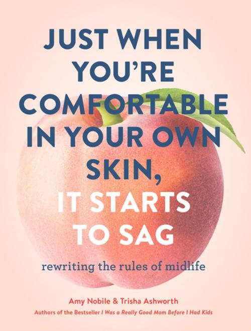 Cover of the book Just When You're Comfortable in Your Own Skin, It Starts to Sag by Amy Nobile, Trisha Ashworth, Chronicle Books LLC