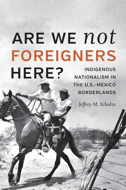 Cover of the book Are We Not Foreigners Here? by Jeffrey M. Schulze, The University of North Carolina Press