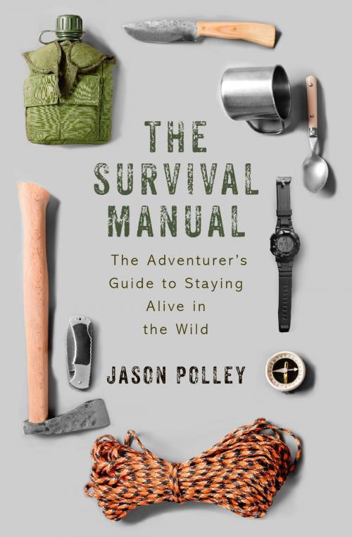 Cover of the book The Survival Manual by Jason Polley, John Murray Press