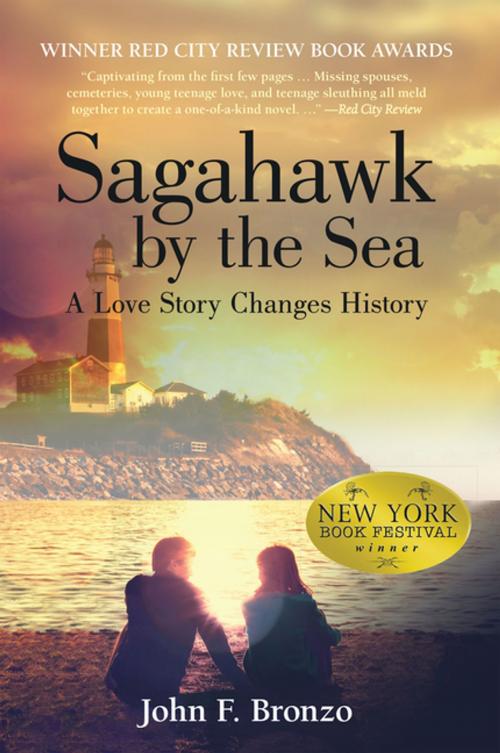 Cover of the book Sagahawk by the Sea by John F. Bronzo, Archway Publishing