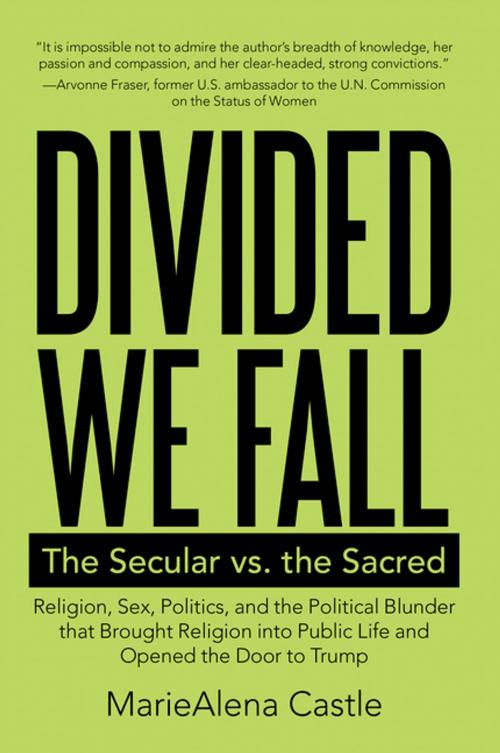 Cover of the book Divided We Fall by MarieAlena Castle, Archway Publishing