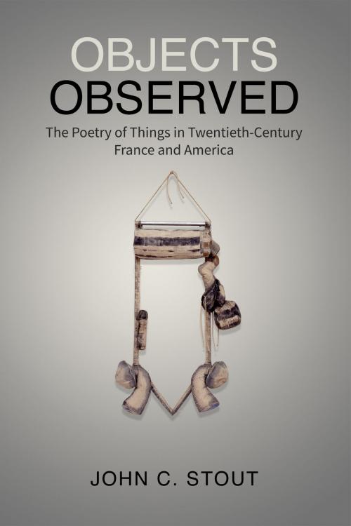 Cover of the book Objects Observed by John C. Stout, University of Toronto Press, Scholarly Publishing Division