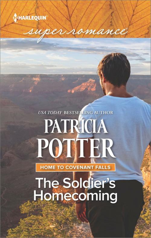 Cover of the book The Soldier's Homecoming by Patricia Potter, Harlequin