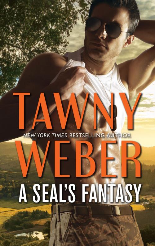 Cover of the book A SEAL's Fantasy by Tawny Weber, Harlequin