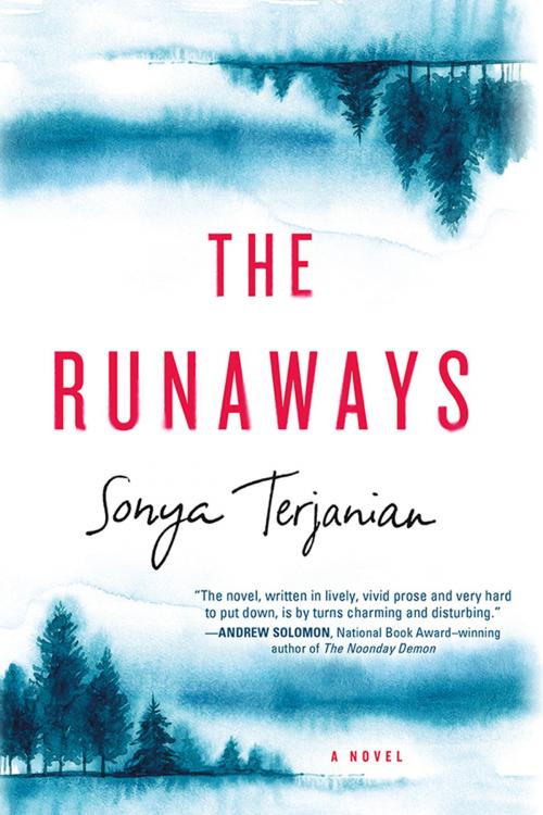 Cover of the book The Runaways by Sonya Terjanian, Sourcebooks