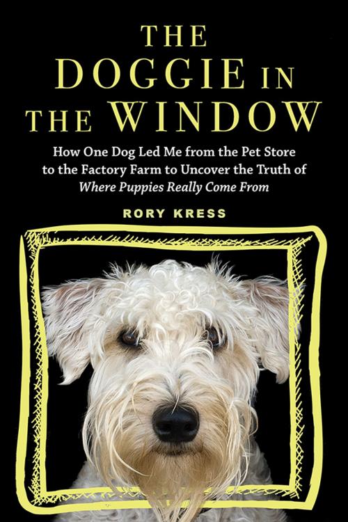 Cover of the book The Doggie in the Window by Rory Kress, Sourcebooks