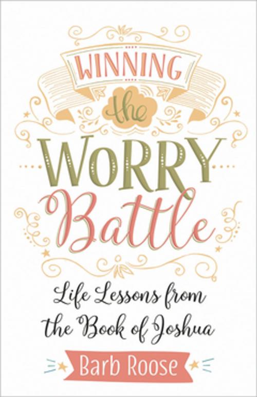 Cover of the book Winning the Worry Battle by Barb Roose, Abingdon Press