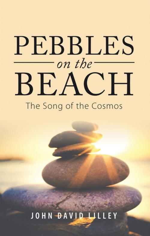 Cover of the book Pebbles on the Beach by John David Lilley, Balboa Press