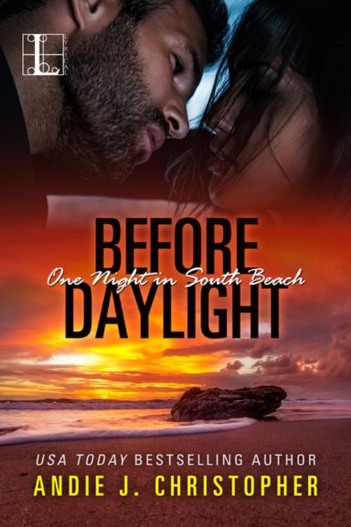 Cover of the book Before Daylight by Andie J. Christopher, Lyrical Press