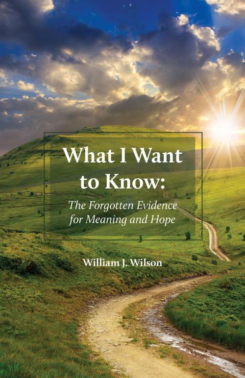 Cover of the book What I Want to Know by William J. Wilson, FriesenPress