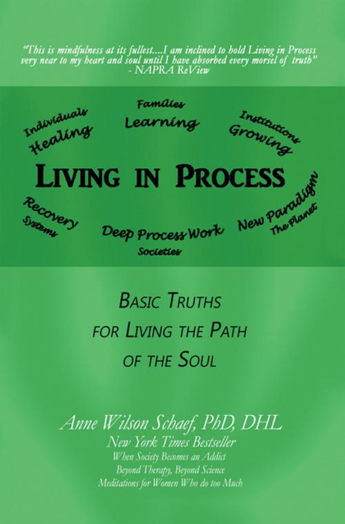 Cover of the book Living in Process by Anne Wilson Schaef PhD DHL, iUniverse
