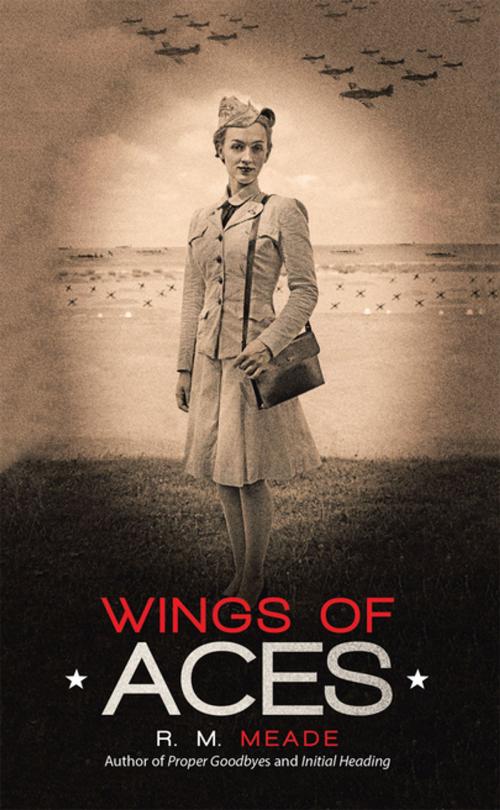 Cover of the book Wings of Aces by R. M. Meade, iUniverse