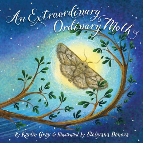Cover of the book An Extraordinary Ordinary Moth by Karlin Gray, Sleeping Bear Press