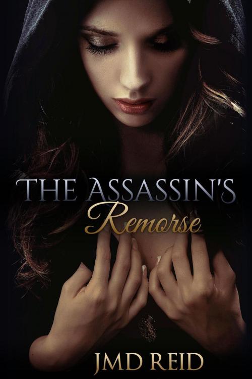Cover of the book The Assassin's Remorse by JMD Reid, JMD Reid