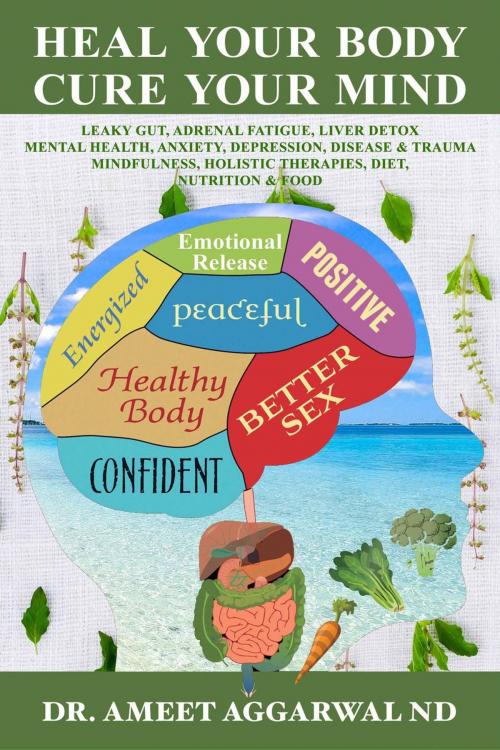 Cover of the book Heal Your Body, Cure Your Mind by Ameet Aggarwal, Ameet Aggarwal