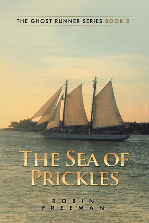 Cover of the book The Sea of Prickles by Robin Freeman, Xlibris AU
