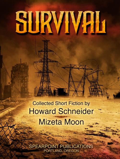 Cover of the book Survival by Howard Schneider, Mizeta Moon, BookBaby