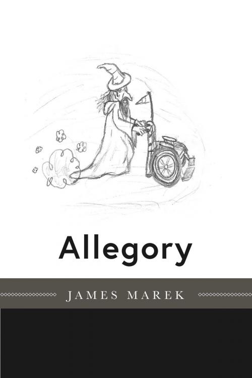 Cover of the book Allegory by James Marek, BookBaby