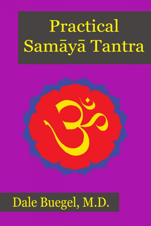 Cover of the book Practical Samaya Tantra by Dale Buegel, BookBaby