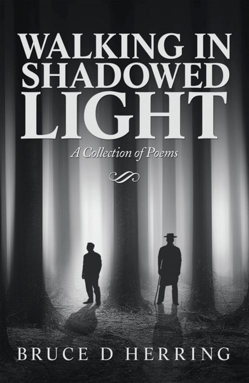 Cover of the book Walking in Shadowed Light by Bruce D Herring, AuthorHouse