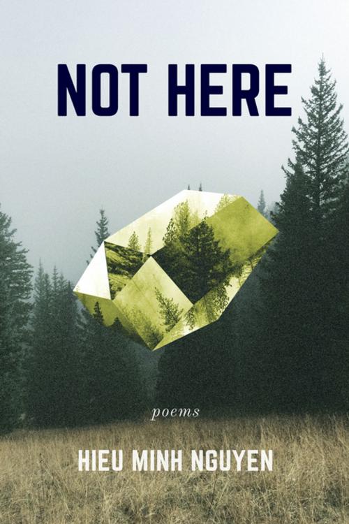 Cover of the book Not Here by Hieu Minh Nguyen, Coffee House Press