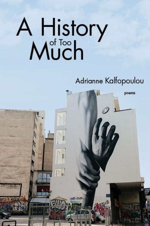 Cover of the book A History of Too Much by Adrianne Kalfopoulou, Red Hen Press