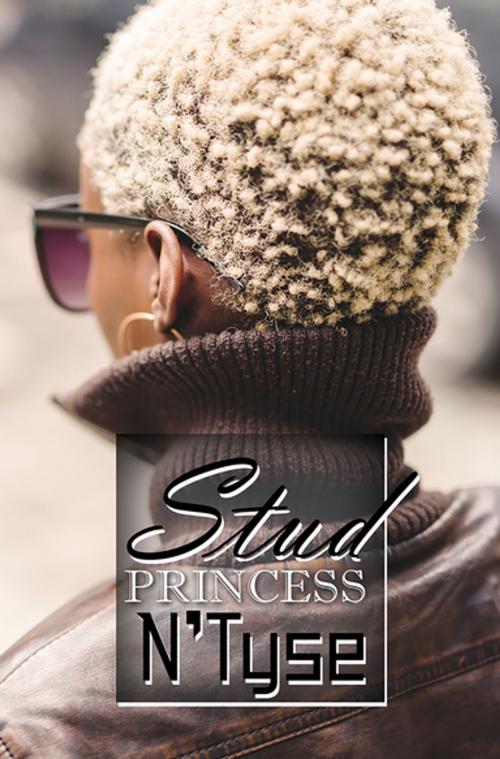 Cover of the book Stud Princess by N'TYSE, Urban Books