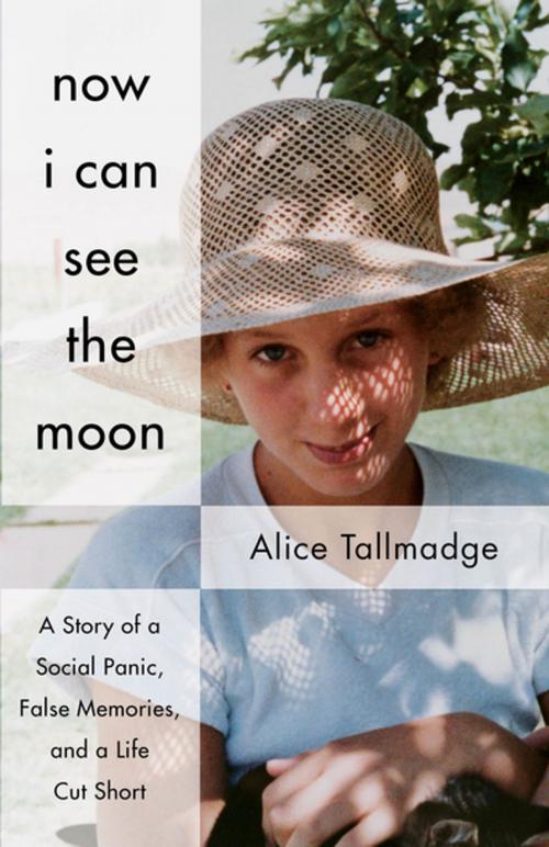 Cover of the book Now I Can See The Moon by Alice Tallmadge, She Writes Press