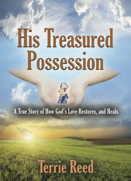 Cover of the book His Treasured Possession by Terrie Reed, BookLocker.com, Inc.