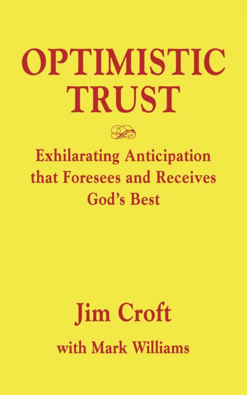 Cover of the book OPTIMISTIC TRUST by Jim Croft, Mark Williams, BookLocker.com, Inc.