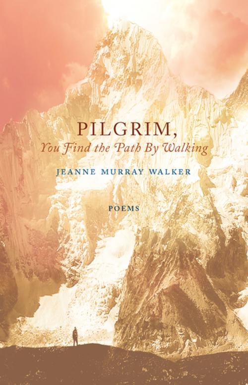 Cover of the book Pilgrim, You Find the Path by Walking by Jeanne Murray Walker, Paraclete Press