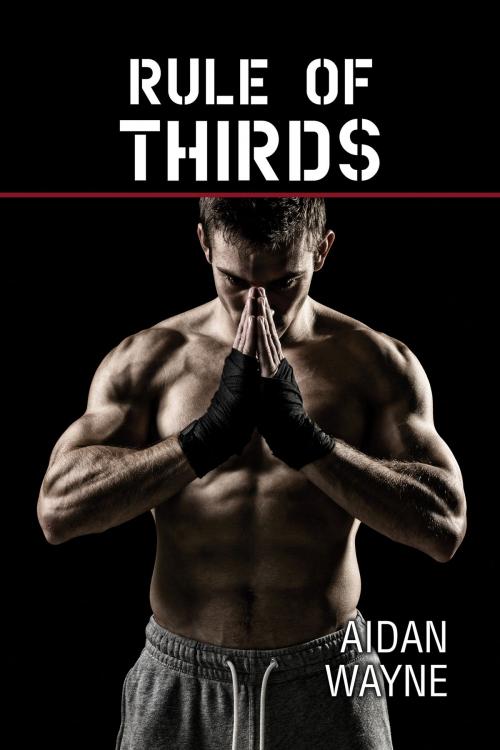 Cover of the book Rule of Thirds by Aidan Wayne, Dreamspinner Press