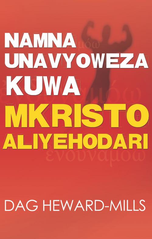Cover of the book Namna Unavyoweza Kuwa Mkristo Aliyehodari by Dag Heward-Mills, Dag Heward-Mills