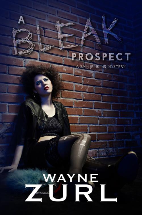 Cover of the book A Bleak Prospect by Wayne Zurl, Melange Books, LLC