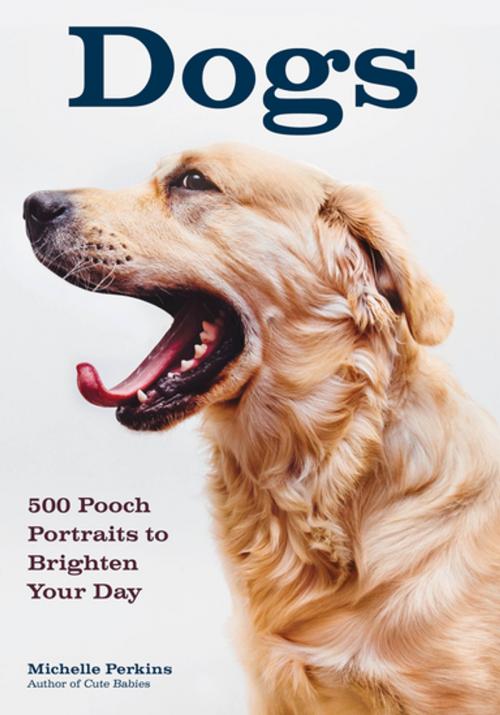 Cover of the book Dogs by Michelle Perkins, Amherst Media