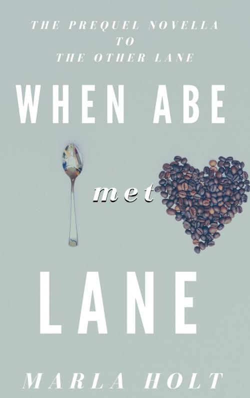 Cover of the book When Abe Met Lane by Marla Holt, Marla Holt