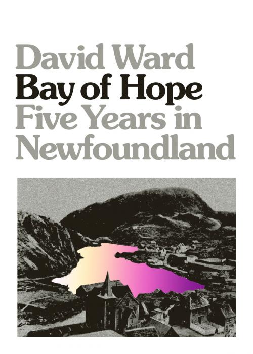 Cover of the book Bay of Hope by David Ward, ECW Press
