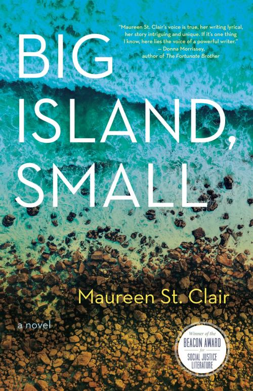 Cover of the book Big Island, Small by Maureen St. Clair, Fernwood Publishing