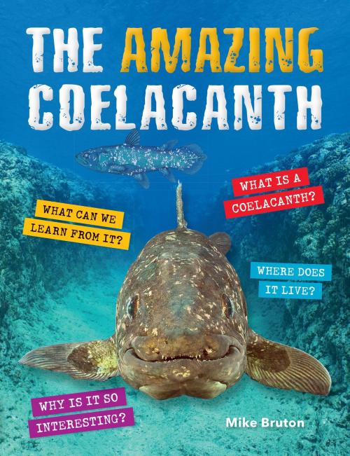 Cover of the book The Amazing Coelacanth by Mike Bruton, Penguin Random House South Africa