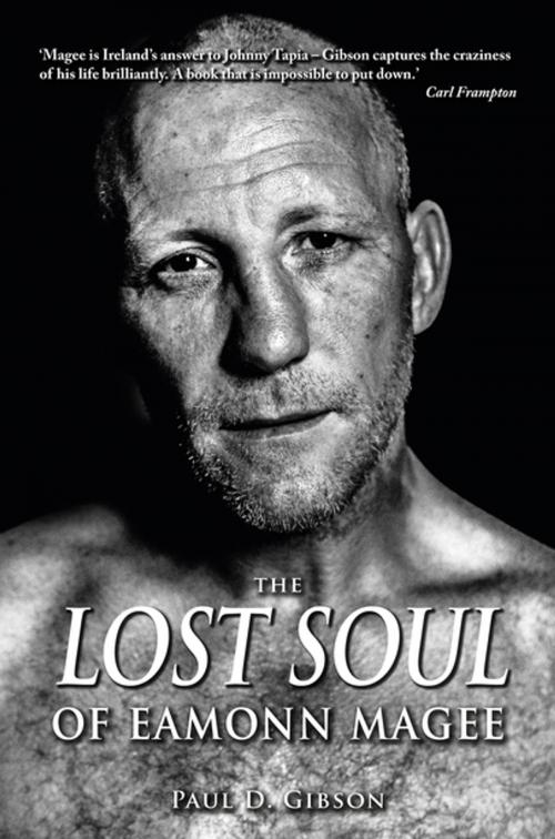 Cover of the book The Lost Soul of Eamonn Magee by Paul Gibson, Eamonn Magee, Mercier Press