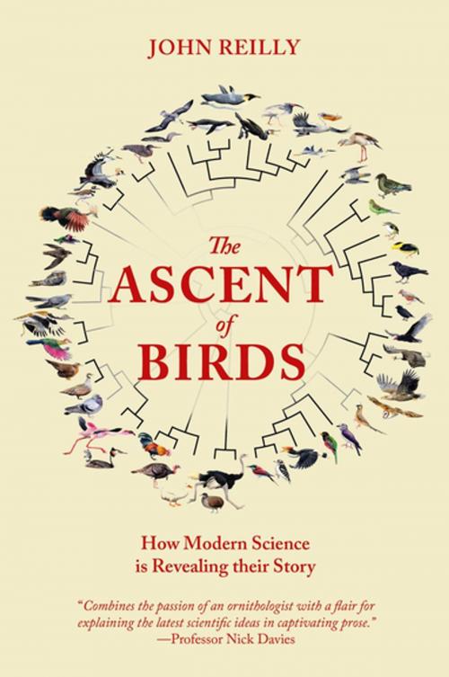 Cover of the book The Ascent of Birds by John Reilly, Pelagic Publishing