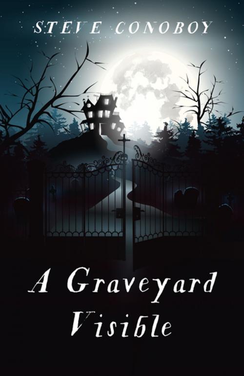 Cover of the book A Graveyard Visible by Steve Conoboy, John Hunt Publishing