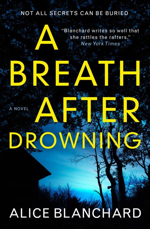 Cover of the book A Breath After Drowning by Alice Blanchard, Titan